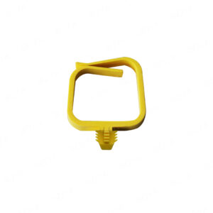 Management Ring