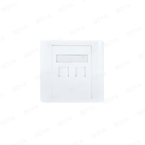 86 Double Port Network Faceplate