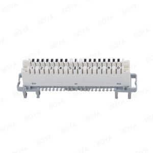 10 Pairs Disconnection Module